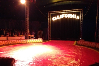 Julis Zirkusauftritt